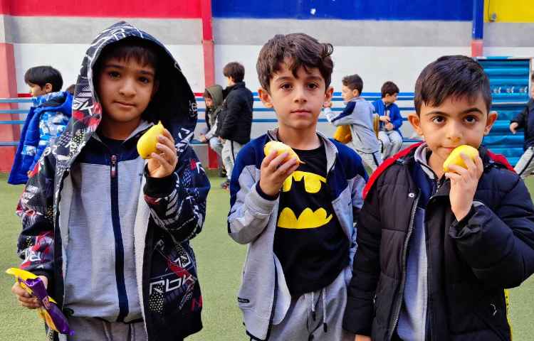 میان وعده آذر ماه 4