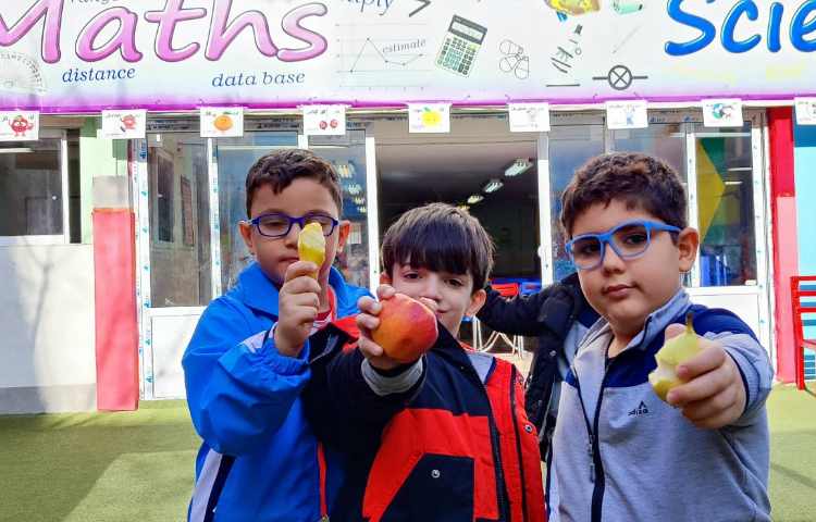 میان وعده آذر ماه 5