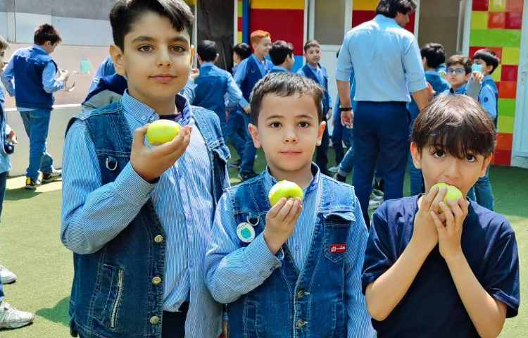 میان وعده اردیبهشت ماه 1