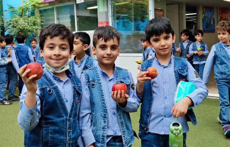 میان وعده اردیبهشت ماه 1