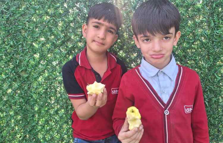 میان وعده اردیبهشت ماه 1