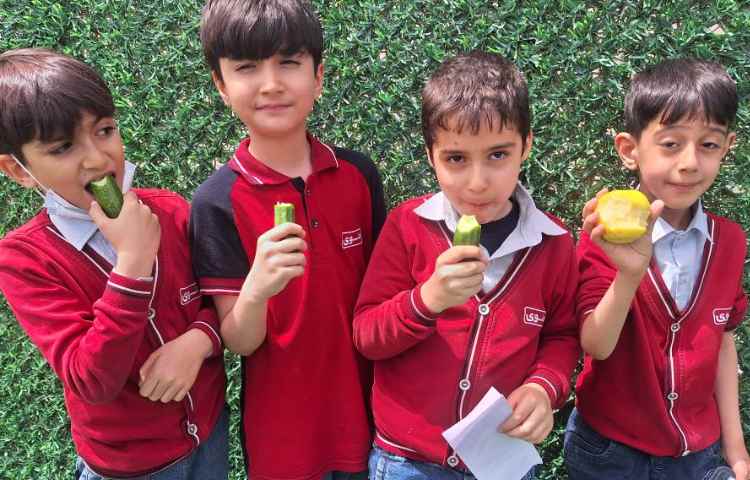 میان وعده اردیبهشت ماه 1