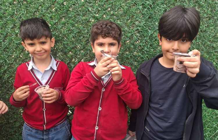 میان وعده اردیبهشت ماه 12