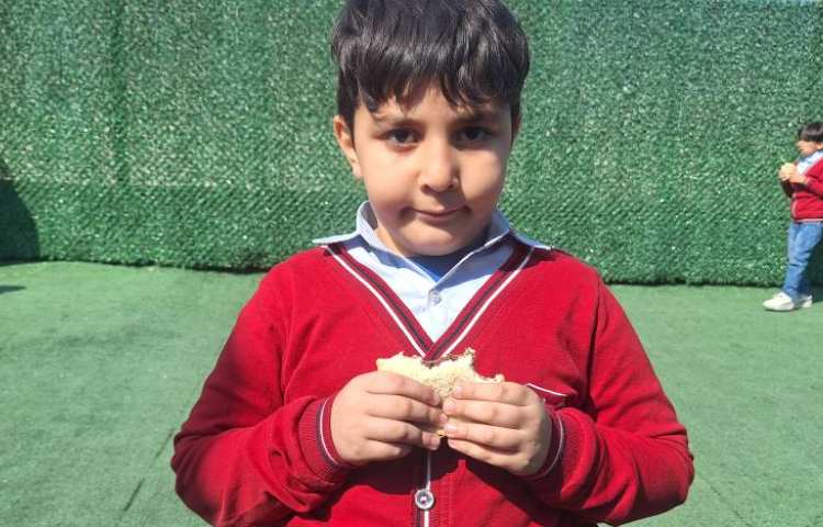 میان وعده اردیبهشت ماه 15