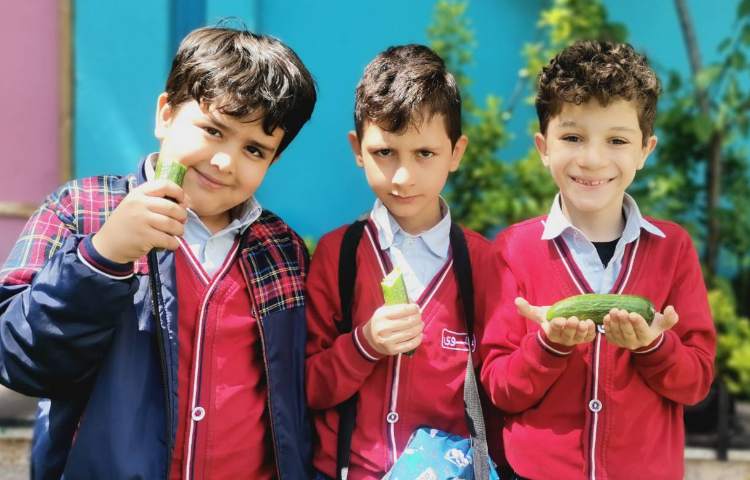 میان وعده اردیبهشت ماه 2