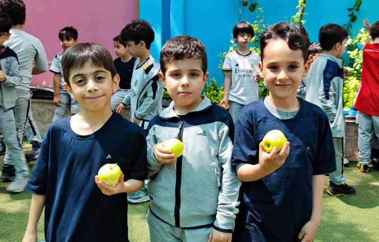 میان وعده اردیبهشت ماه 3