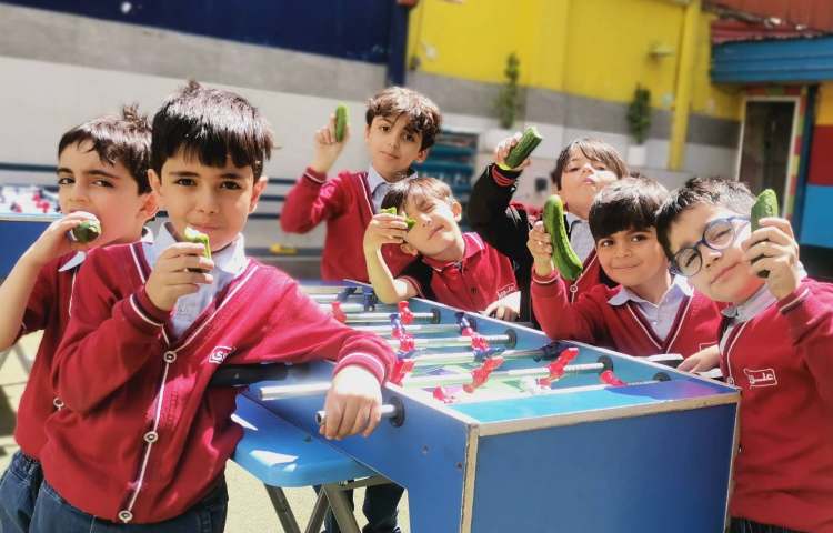 میان وعده اردیبهشت ماه 3