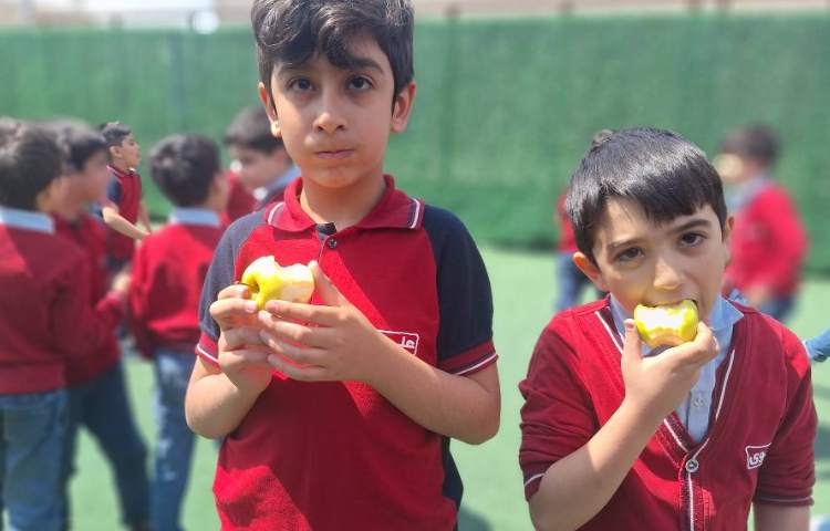 میان وعده اردیبهشت ماه 3