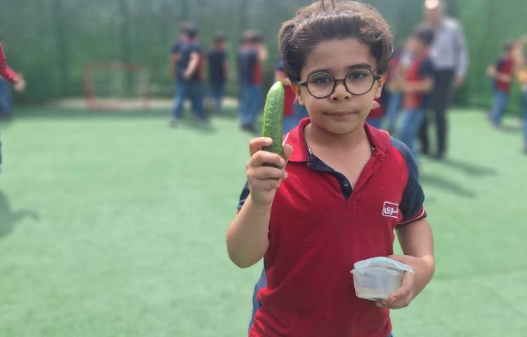 میان وعده اردیبهشت ماه 3