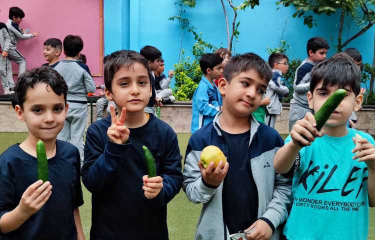 میان وعده اردیبهشت ماه 4