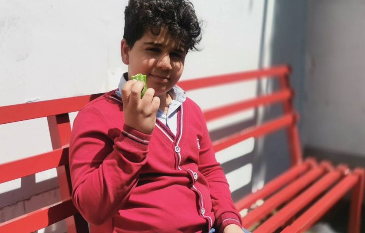 میان وعده اردیبهشت ماه 4