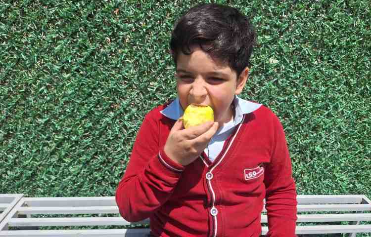 میان وعده اردیبهشت ماه 4