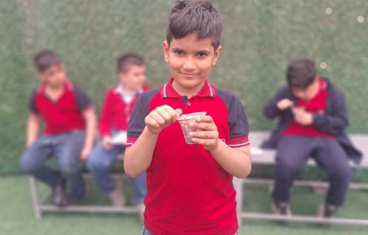 میان وعده اردیبهشت ماه 4