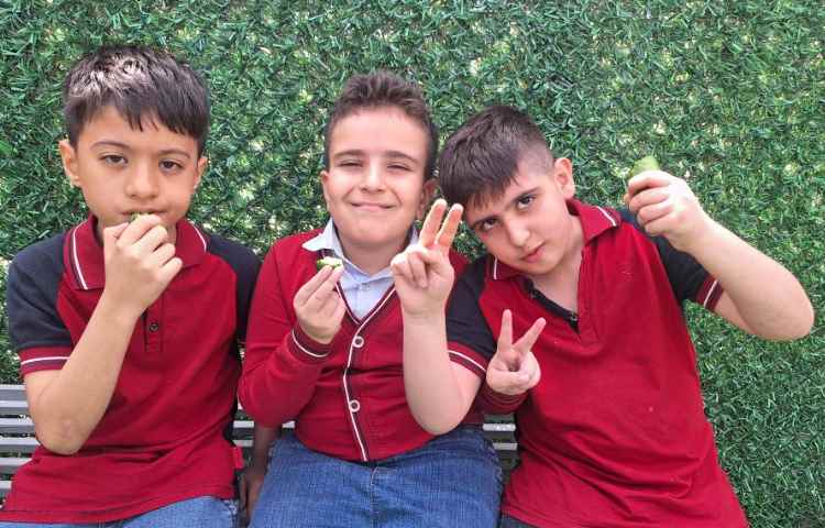 میان وعده اردیبهشت ماه 4