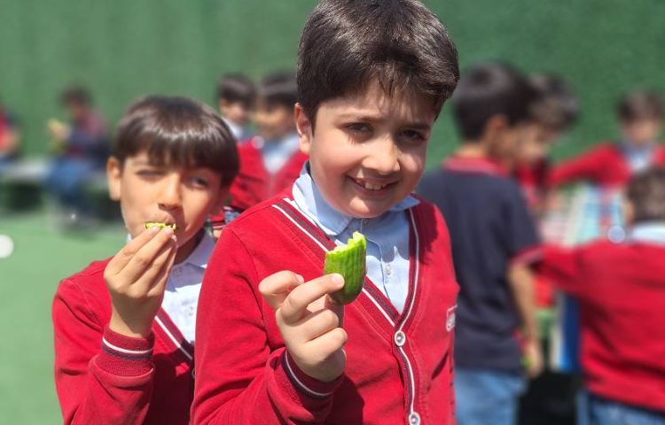 میان وعده اردیبهشت ماه 5