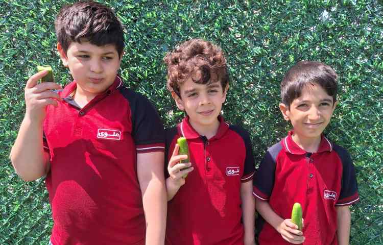 میان وعده اردیبهشت ماه 6