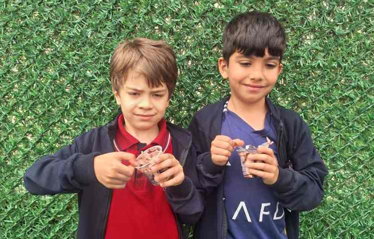 میان وعده اردیبهشت ماه 6