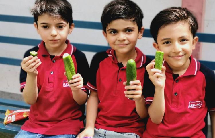 میان وعده اردیبهشت ماه 6