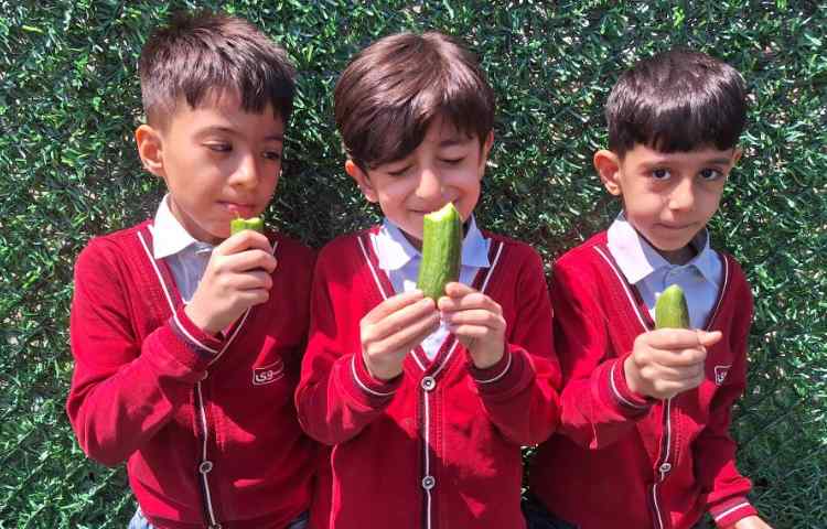 میان وعده اردیبهشت ماه 7