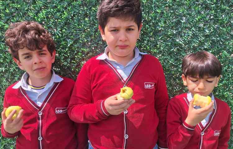 میان وعده اردیبهشت ماه 7