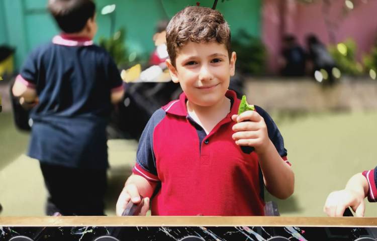 میان وعده اردیبهشت ماه 7