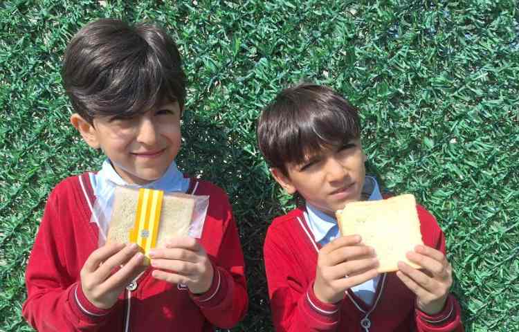 میان وعده اردیبهشت ماه 8