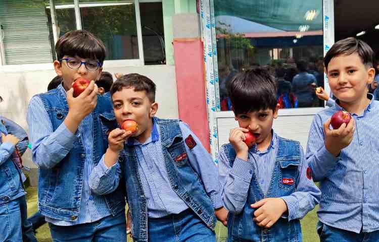 میان وعده اردیبهشت ماه