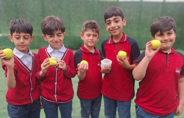 میان وعده اردیبهشت ماه