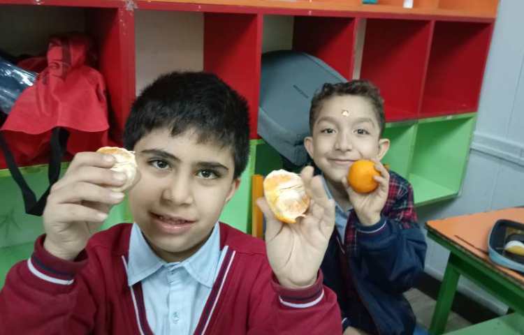 میان وعده اسفند ماه 10