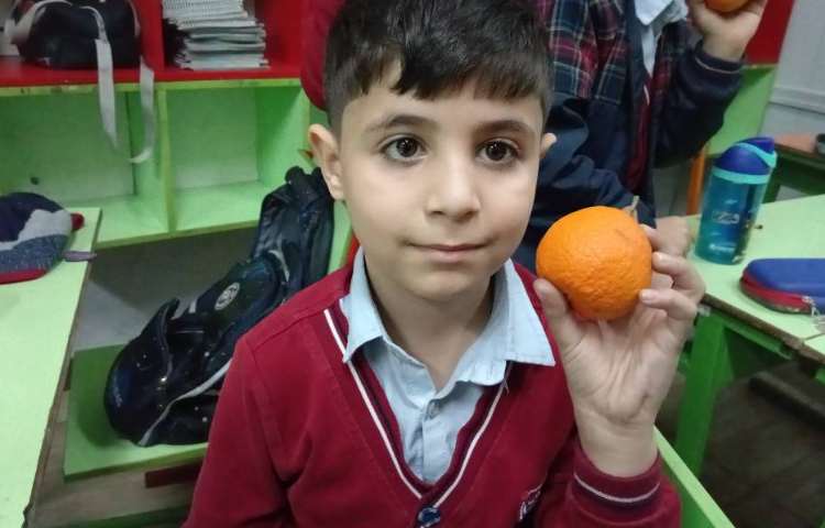 میان وعده اسفند ماه 11