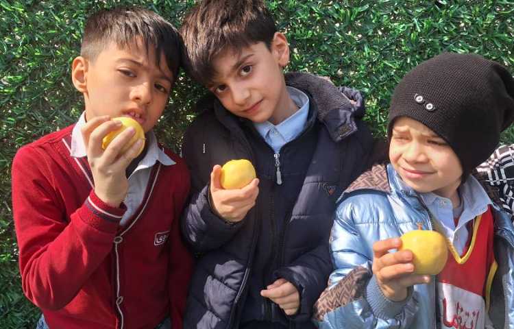 میان وعده اسفند ماه 5