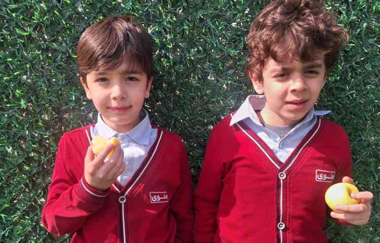 میان وعده اسفند ماه 6