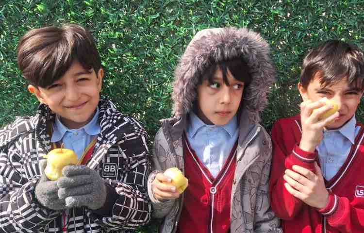 میان وعده اسفند ماه