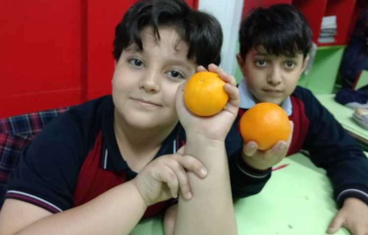 میان وعده اسفند ماه