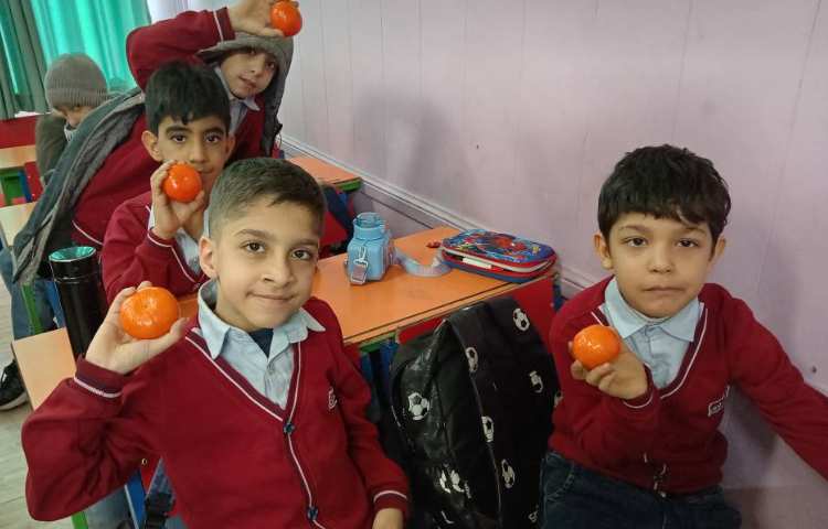 میان وعده بهمن ماه 1