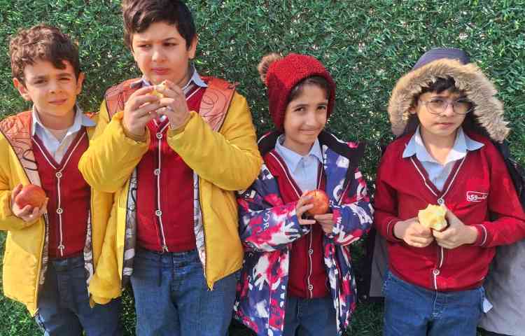 میان وعده بهمن ماه 10