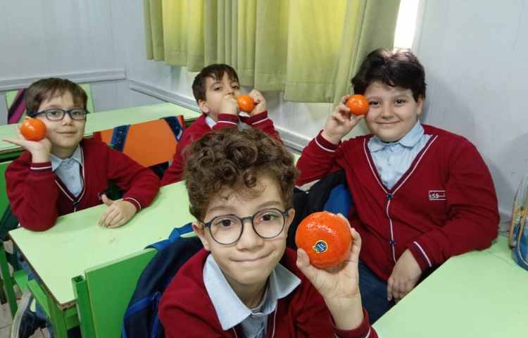 میان وعده بهمن ماه 11