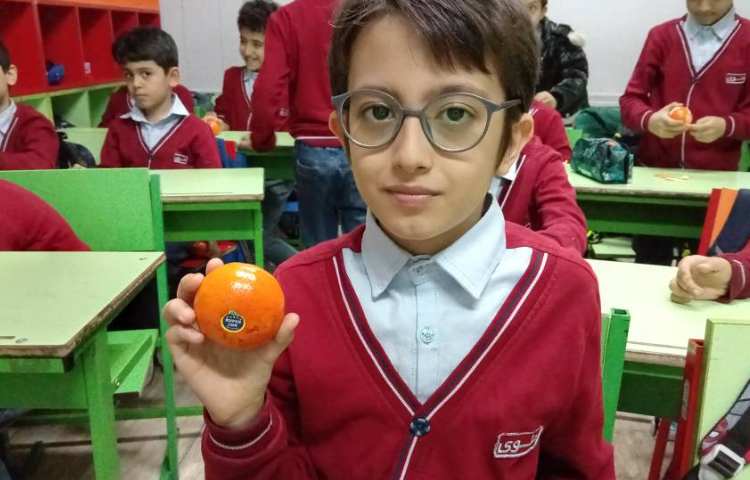 میان وعده بهمن ماه 12