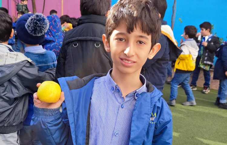 میان وعده بهمن ماه 2