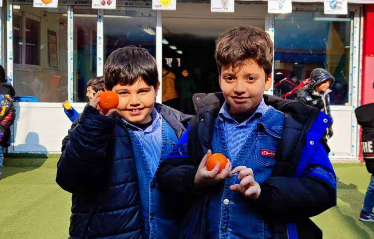 میان وعده بهمن ماه 2