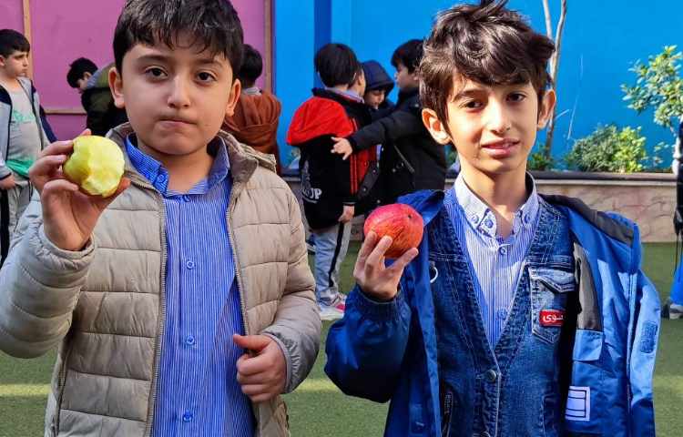 میان وعده بهمن ماه 2