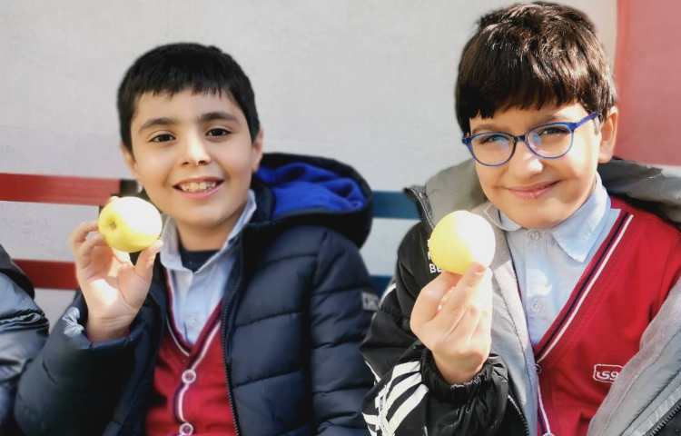 میان وعده بهمن ماه 2