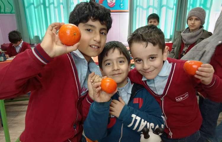 میان وعده بهمن ماه 2