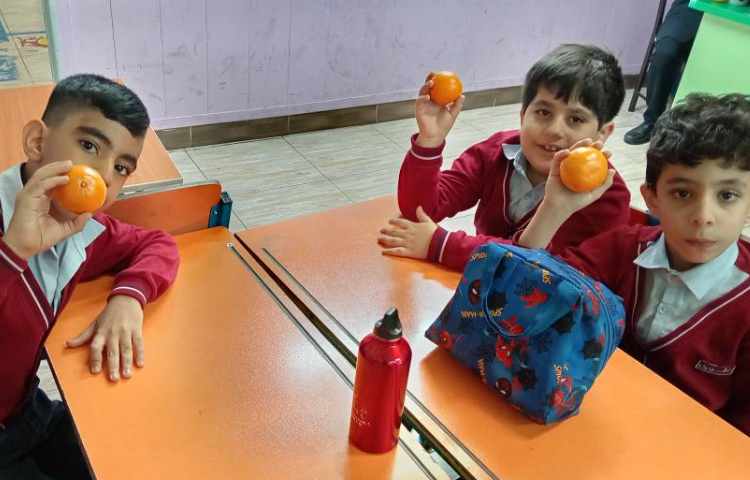 میان وعده بهمن ماه 2