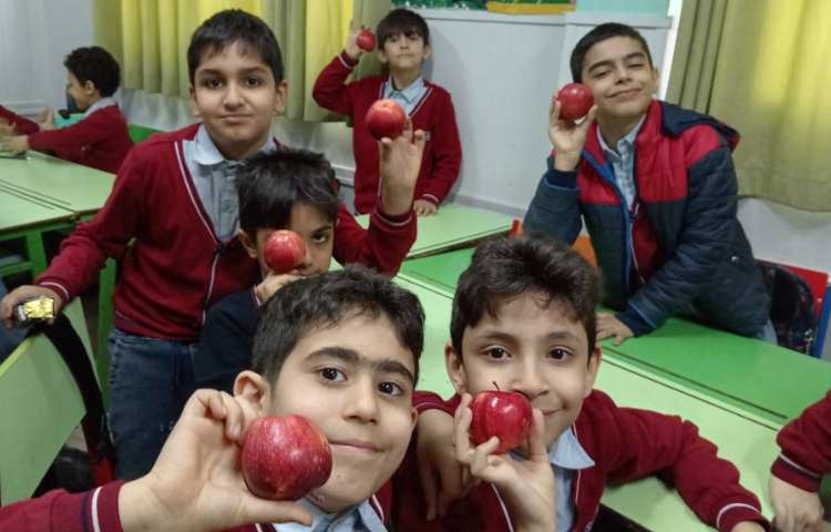 میان وعده بهمن ماه 2