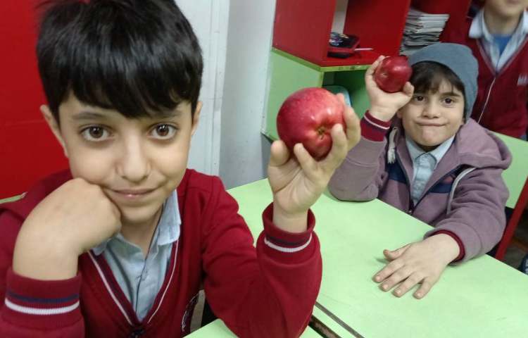 میان وعده بهمن ماه 3