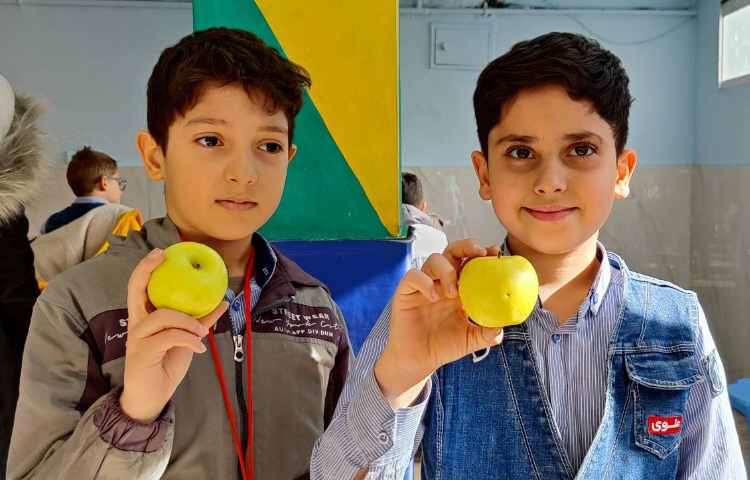 میان وعده بهمن ماه 4