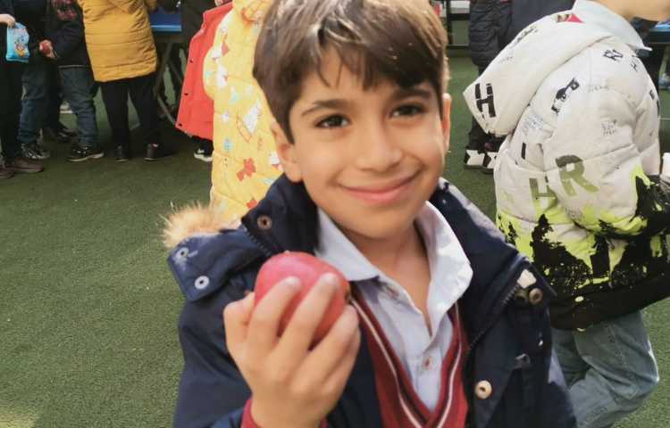 میان وعده بهمن ماه 4