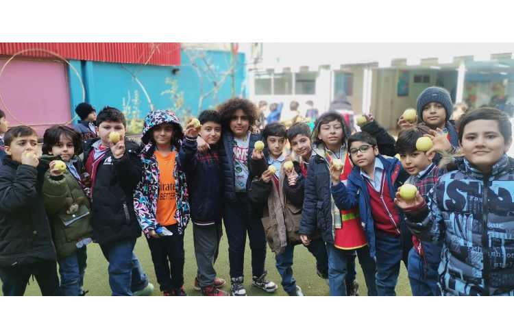 میان وعده بهمن ماه 4