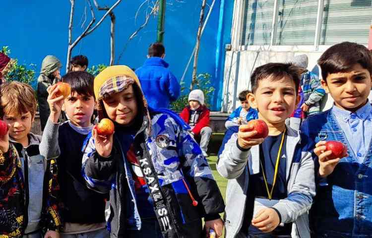 میان وعده بهمن ماه 5